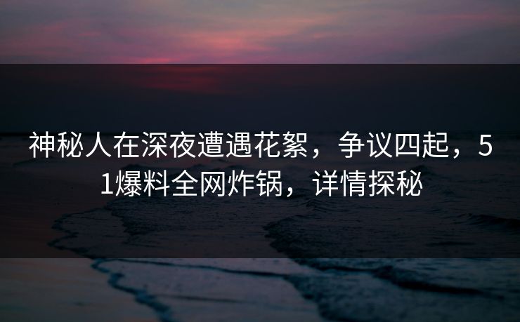 神秘人在深夜遭遇花絮，争议四起，51爆料全网炸锅，详情探秘