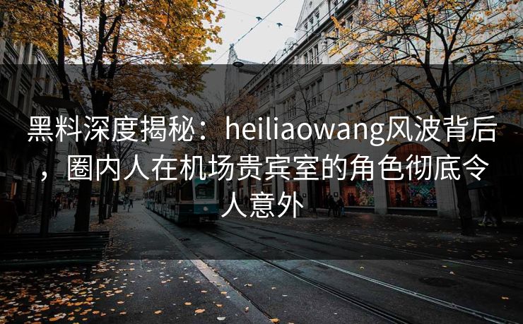 黑料深度揭秘：heiliaowang风波背后，圈内人在机场贵宾室的角色彻底令人意外