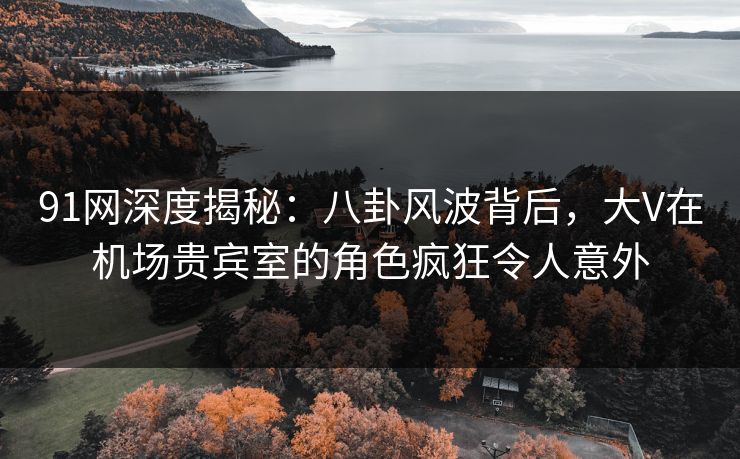 91网深度揭秘：八卦风波背后，大V在机场贵宾室的角色疯狂令人意外