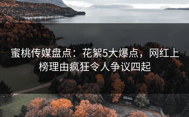 蜜桃传媒盘点：花絮5大爆点，网红上榜理由疯狂令人争议四起